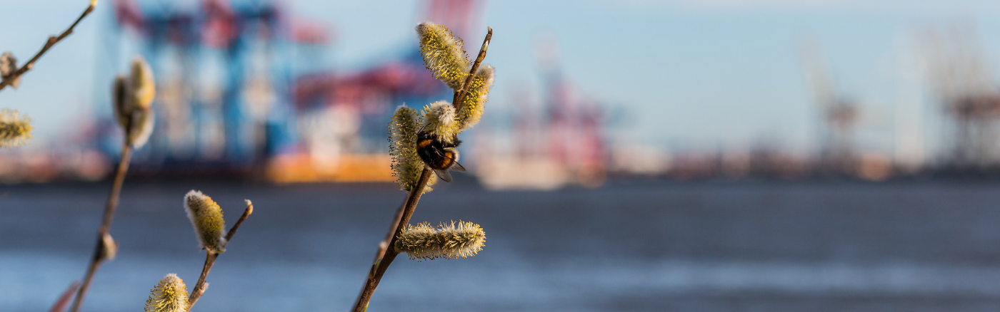 banner_hafen